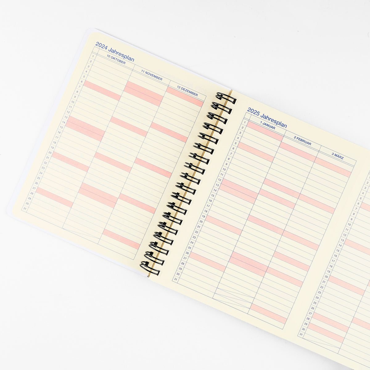 Delfonics Rollbahn 2025 Chance Monthly Planner Black | Large Or A5 