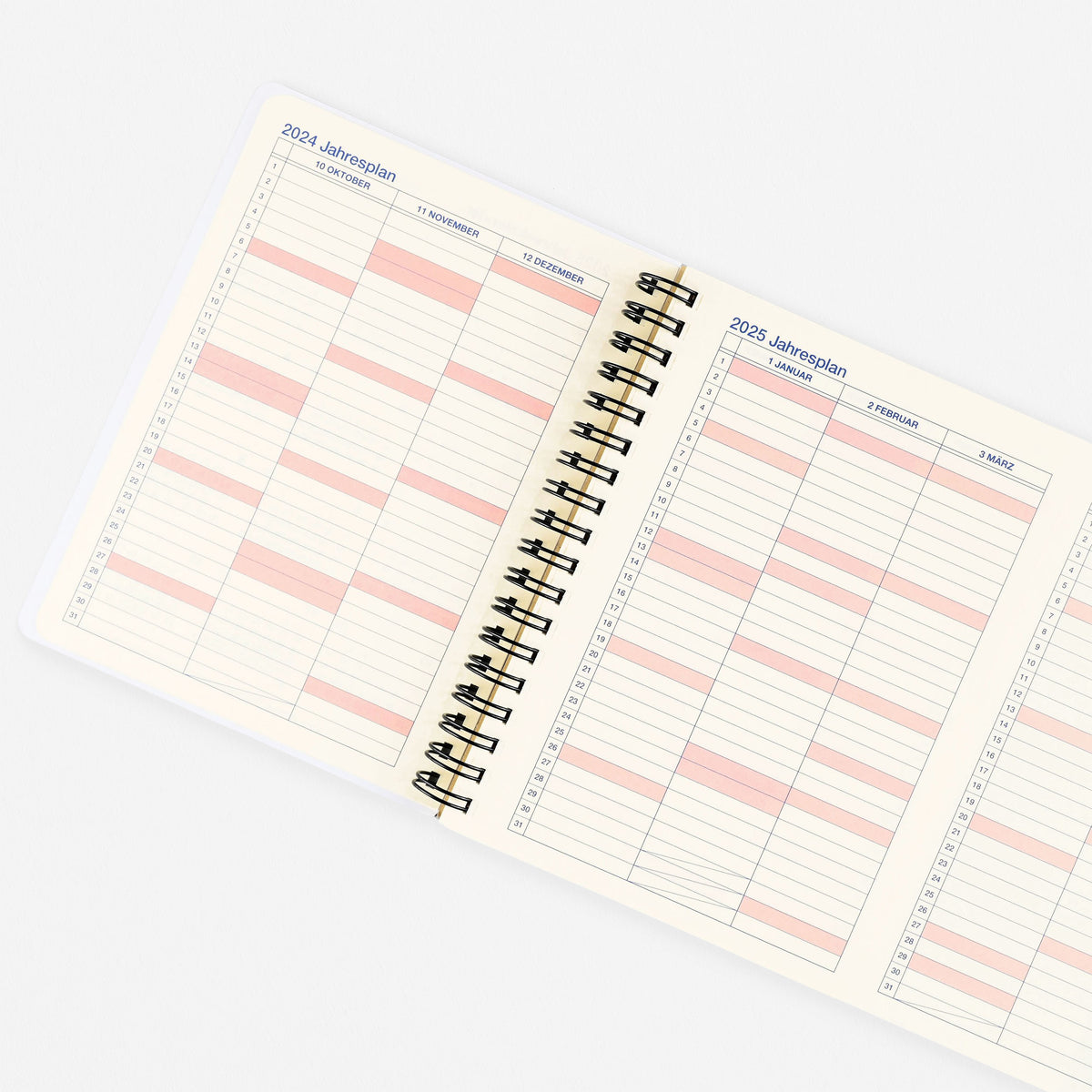 Delfonics Rollbahn 2025 Monthly Planner Beige | Large, A5 Or Extra Large