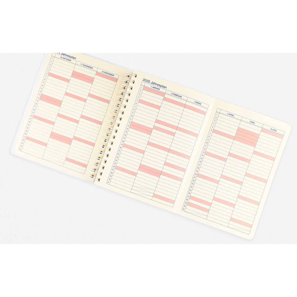 Delfonics Rollbahn 2025 Calando Monthly Planner Medium Or Large | 3 Colorways 