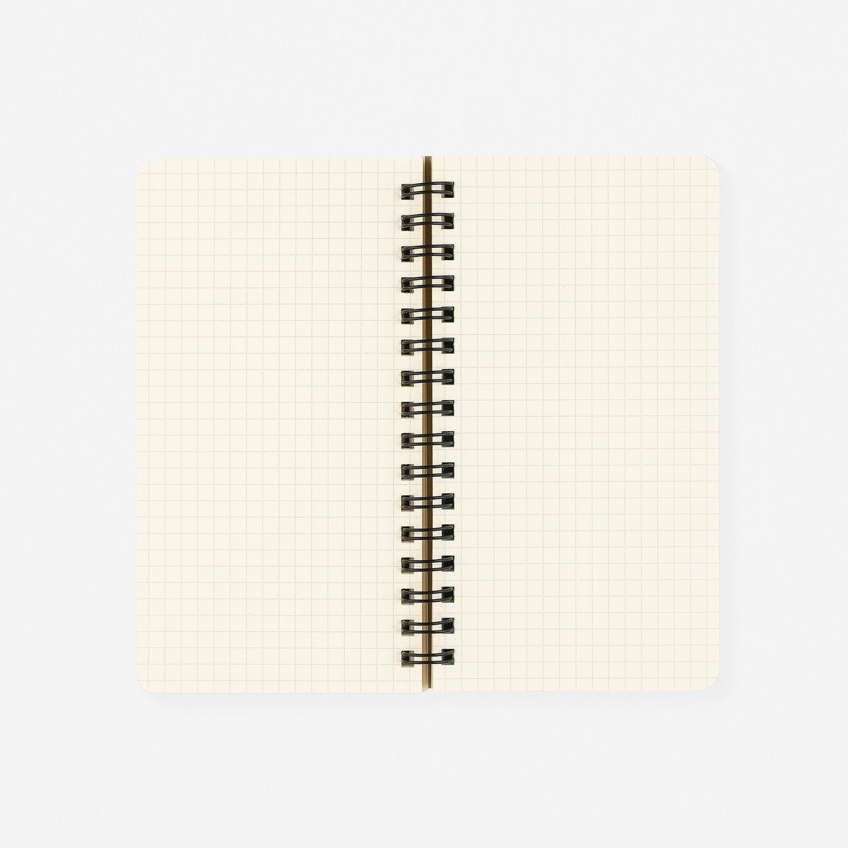 Delfonics Rollbahn 2025 Chance Slim Monthly Planner | White, Black Or Light Blue