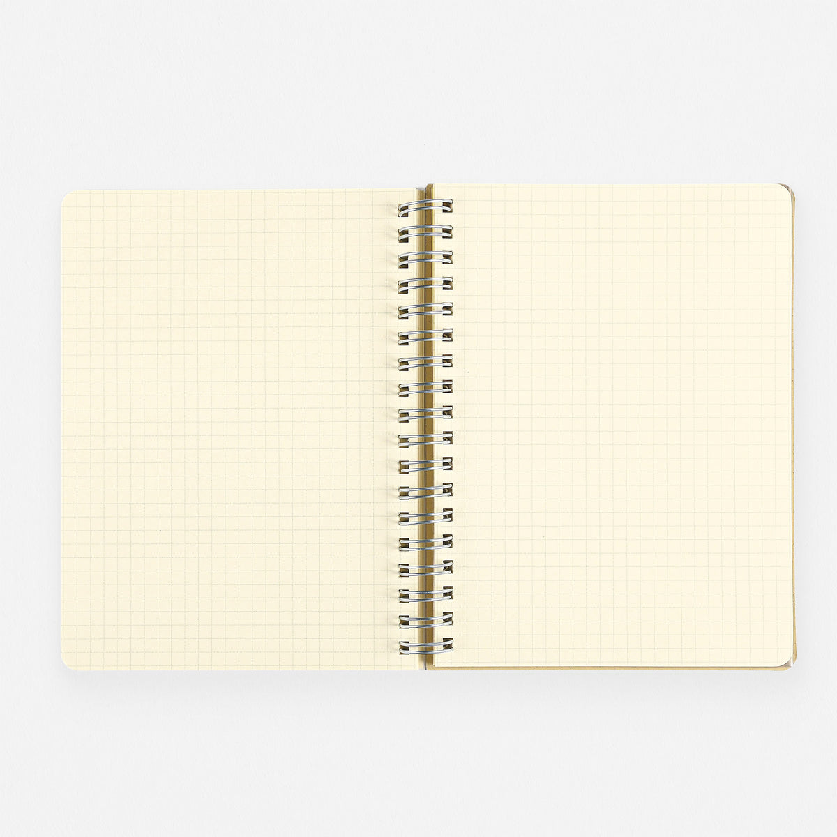 Delfonics Rollbahn 2024 Monthly Planner Latte Light Green | Large Or A5 