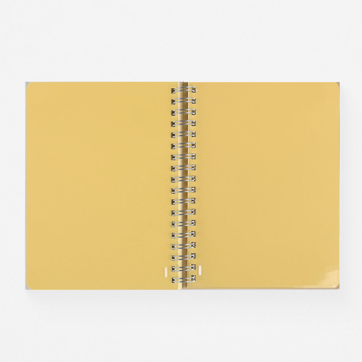Delfonics Rollbahn 2024 Monthly Planner Latte Light Green | Large Or A5 