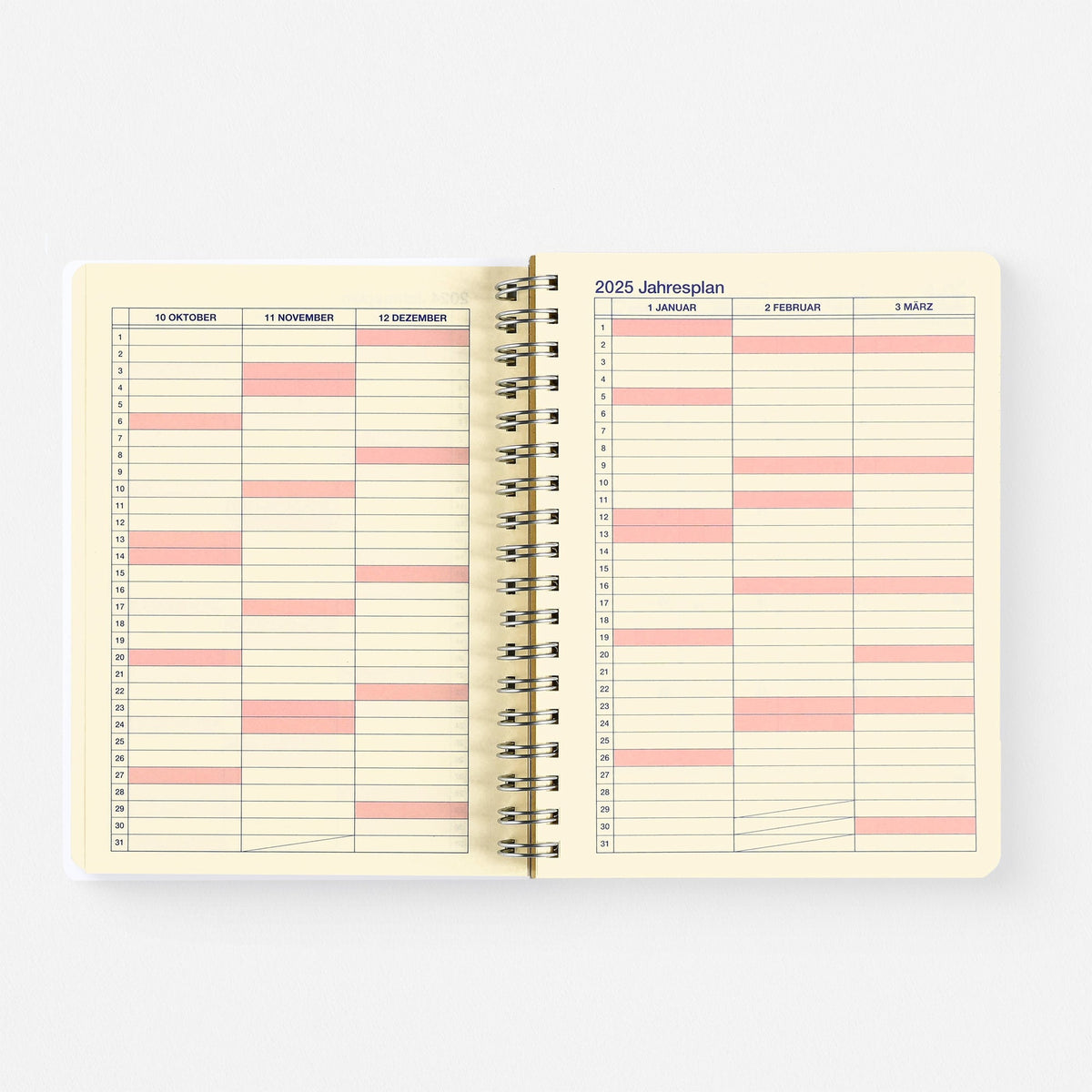 Delfonics Rollbahn 2024 Monthly Planner Leblanc Light Blue | Medium Or Large 