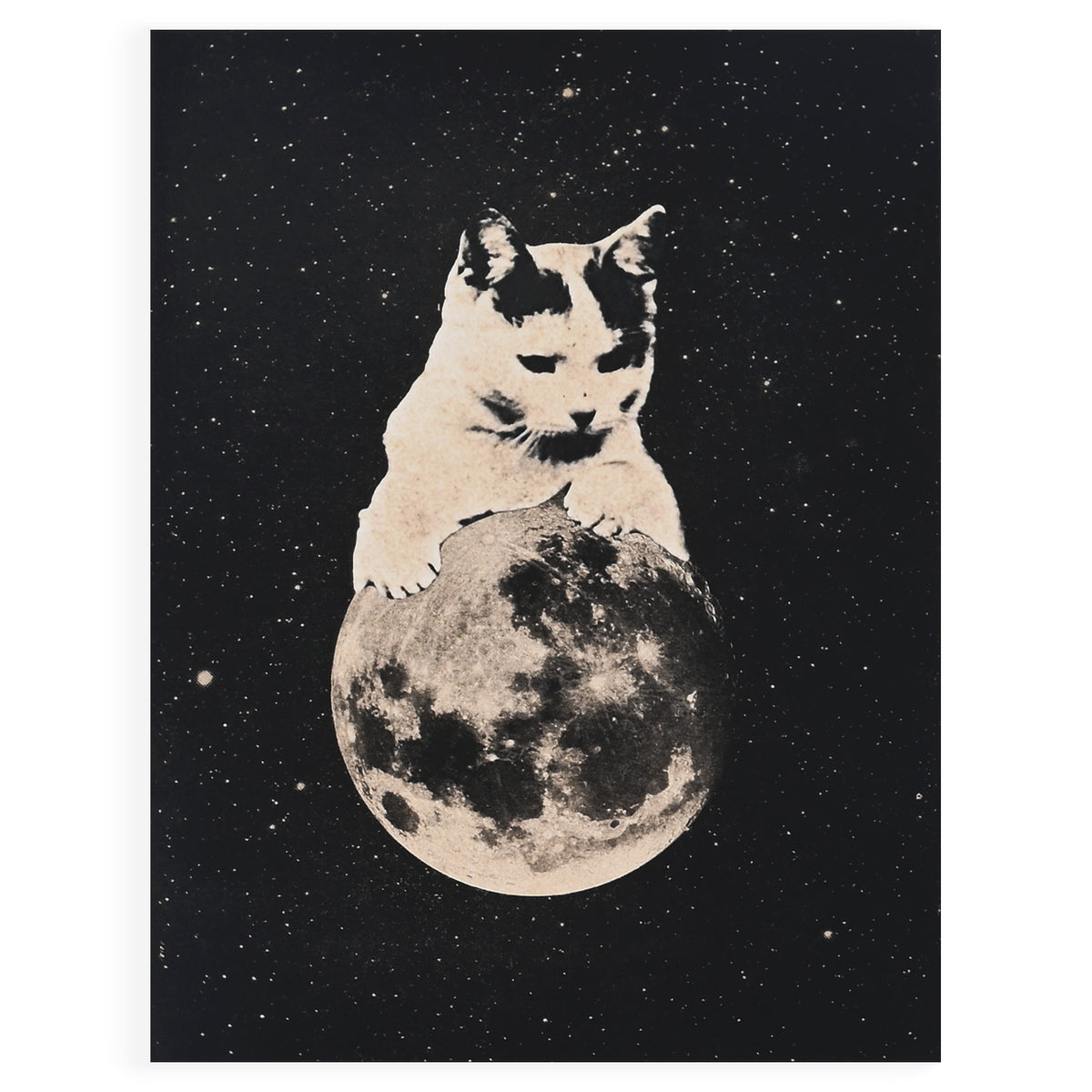 The Galek Sea Mooncat Greeting Card 
