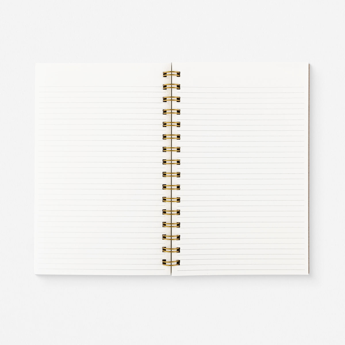 Worthwhile Paper Ice Pebble Lined Notebook