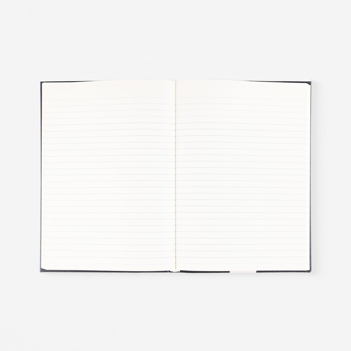 Papier Beetles Notebook Lined 