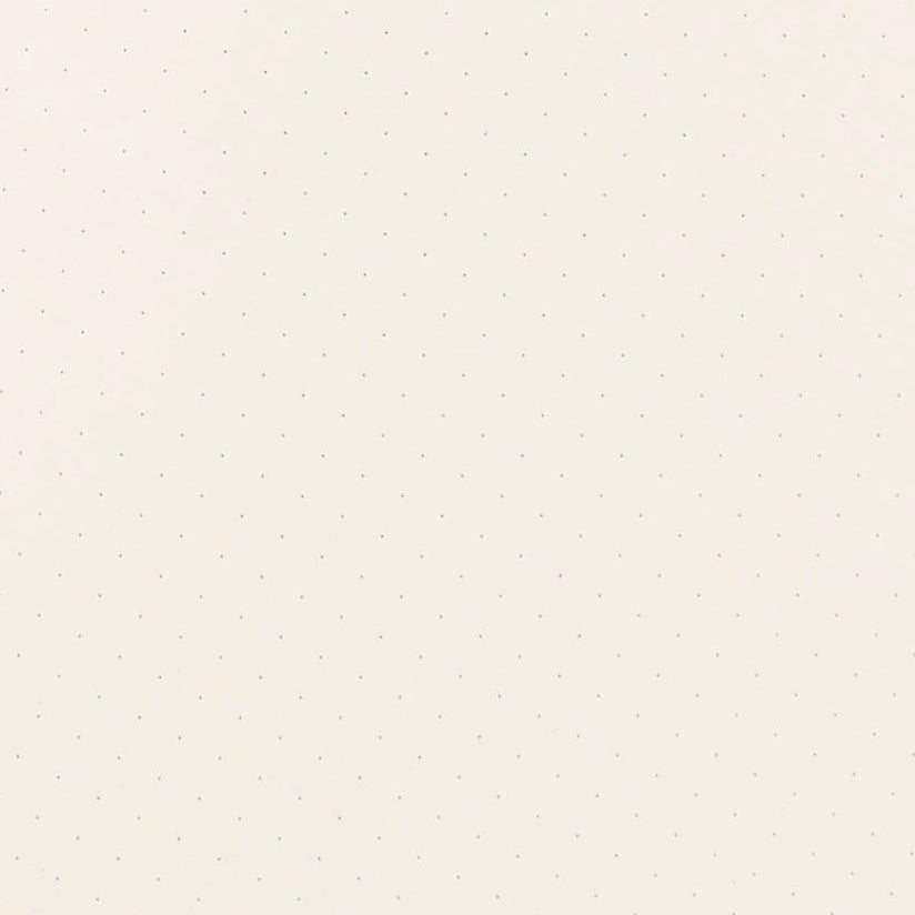 Papier Tigre Pacifique Notebook A5 Dot Grid 