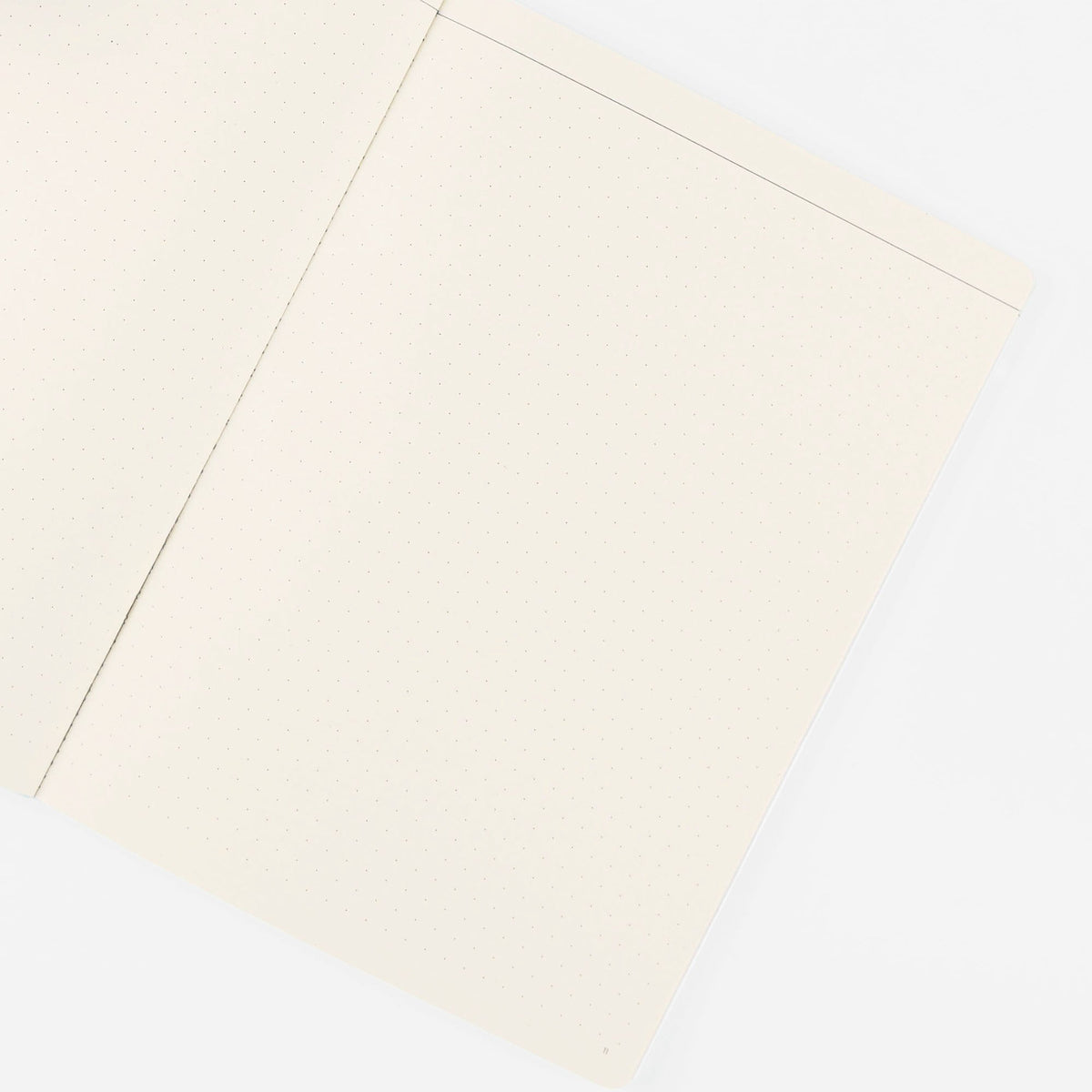 Papier Tigre Pacifique Notebook A5 Dot Grid 
