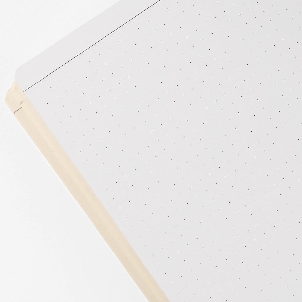 Papier Tigre Pacifique Notebook A5 Dot Grid 