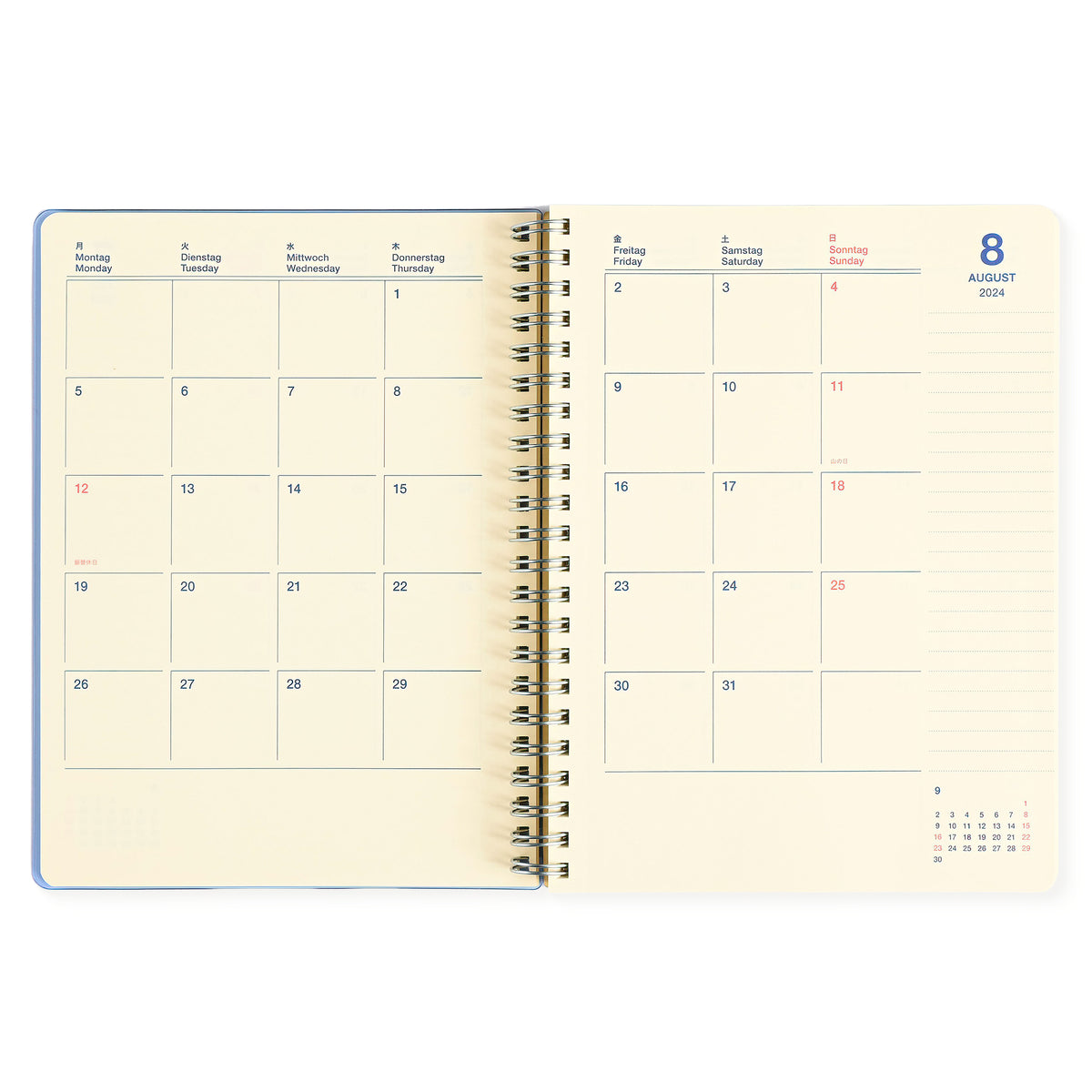 Delfonics Rollbahn 2024 Monthly Planner Clear Large Or A5 | Blue, Green, Silver Or Pink 