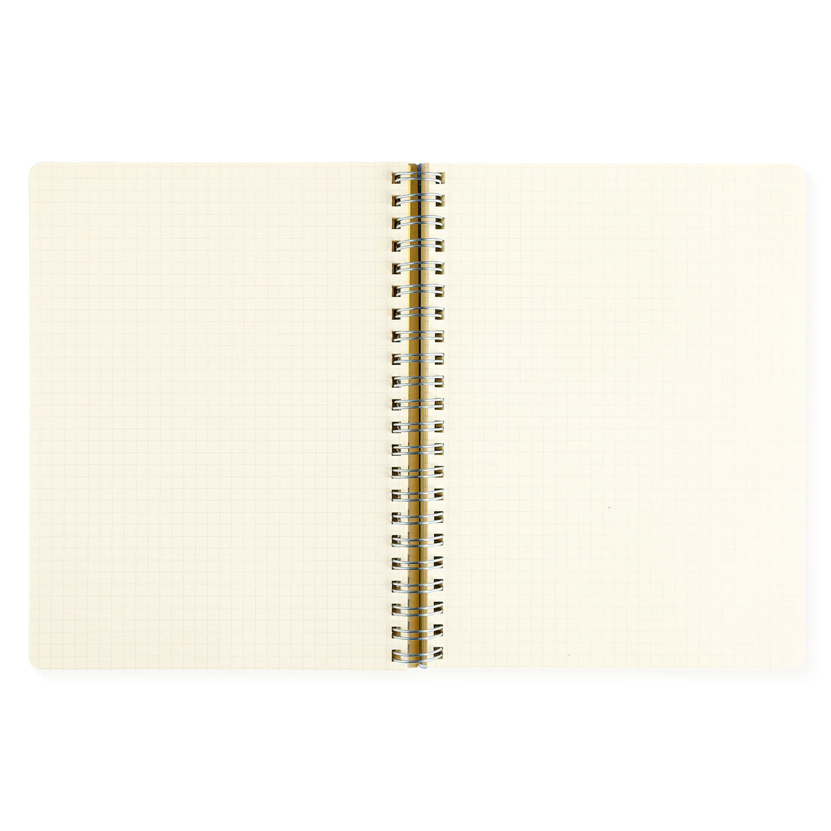 Delfonics Rollbahn 2024 Monthly Planner Clear Large Or A5 | Blue, Green, Silver Or Pink 