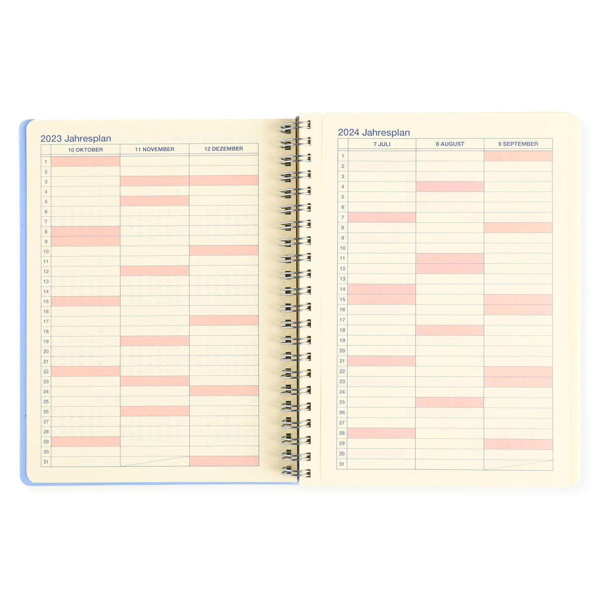 Delfonics Rollbahn 2024 Monthly Planner Clear Large Or A5 | Blue, Green, Silver Or Pink 