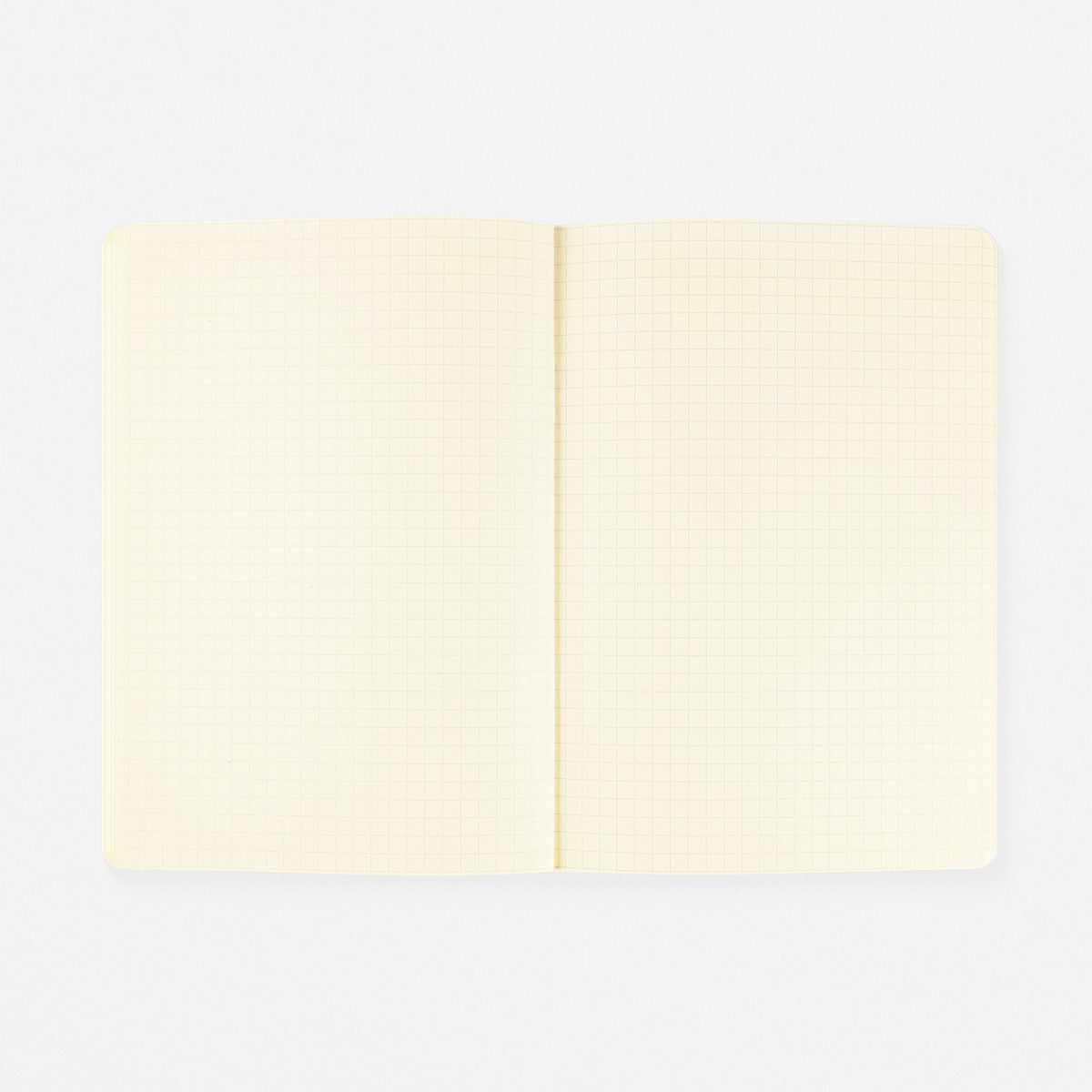 Delfonics Rollbahn 2025 Monthly Planner Notebook Clear B6 Or A5 | Clear Blue, Clear Or Clear Pink 