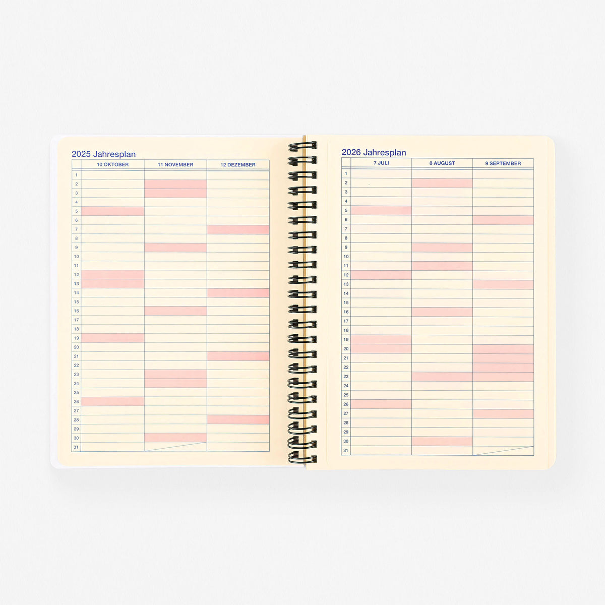 Delfonics Rollbahn 2026 Monthly Planner Metallic Silver | Large Or A5