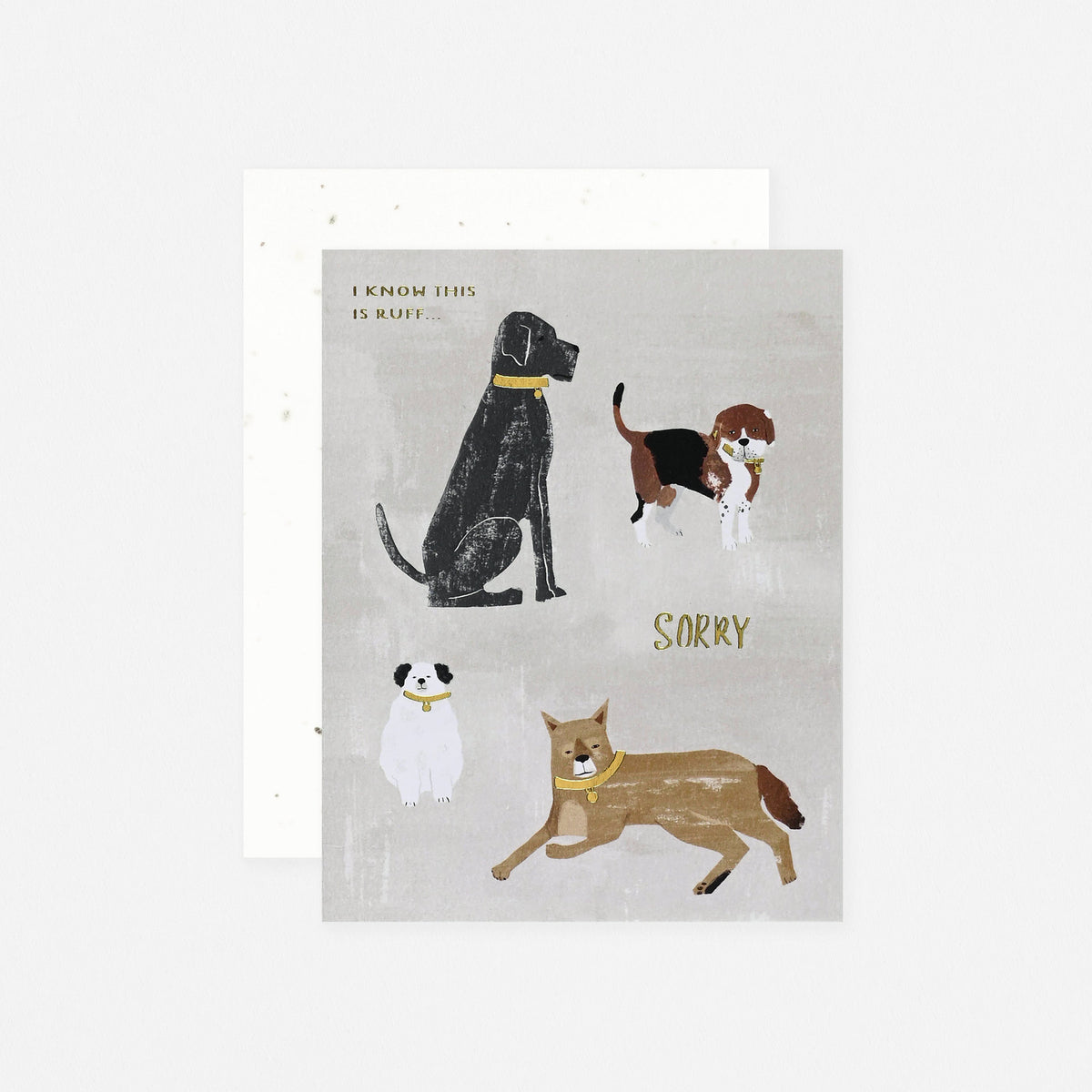 Seedlings I Know This Is Ruff Pet Sympathy Card With Plantable Envelope 