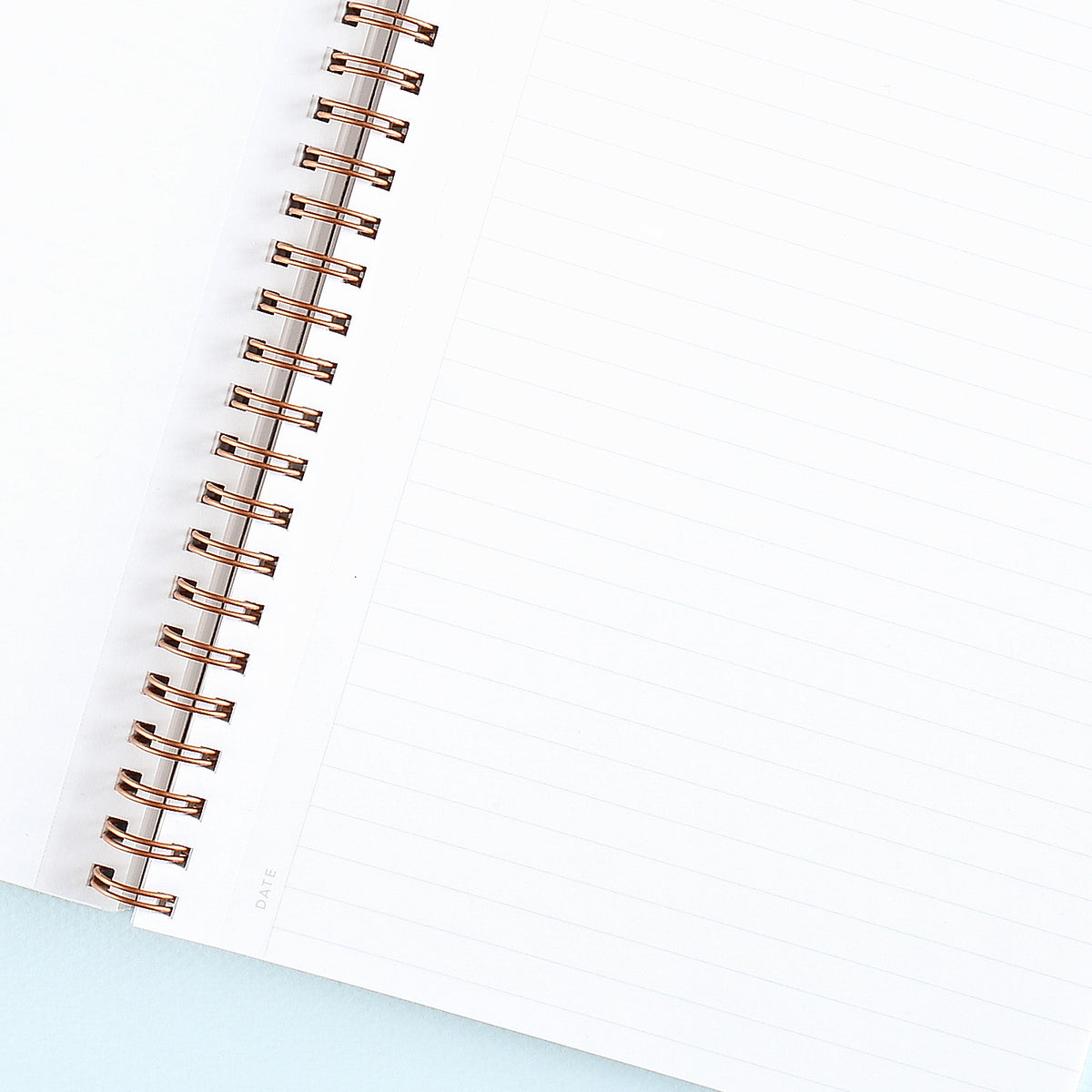 Appointed Fern Green Workbook | Lined Or Dot Grid 