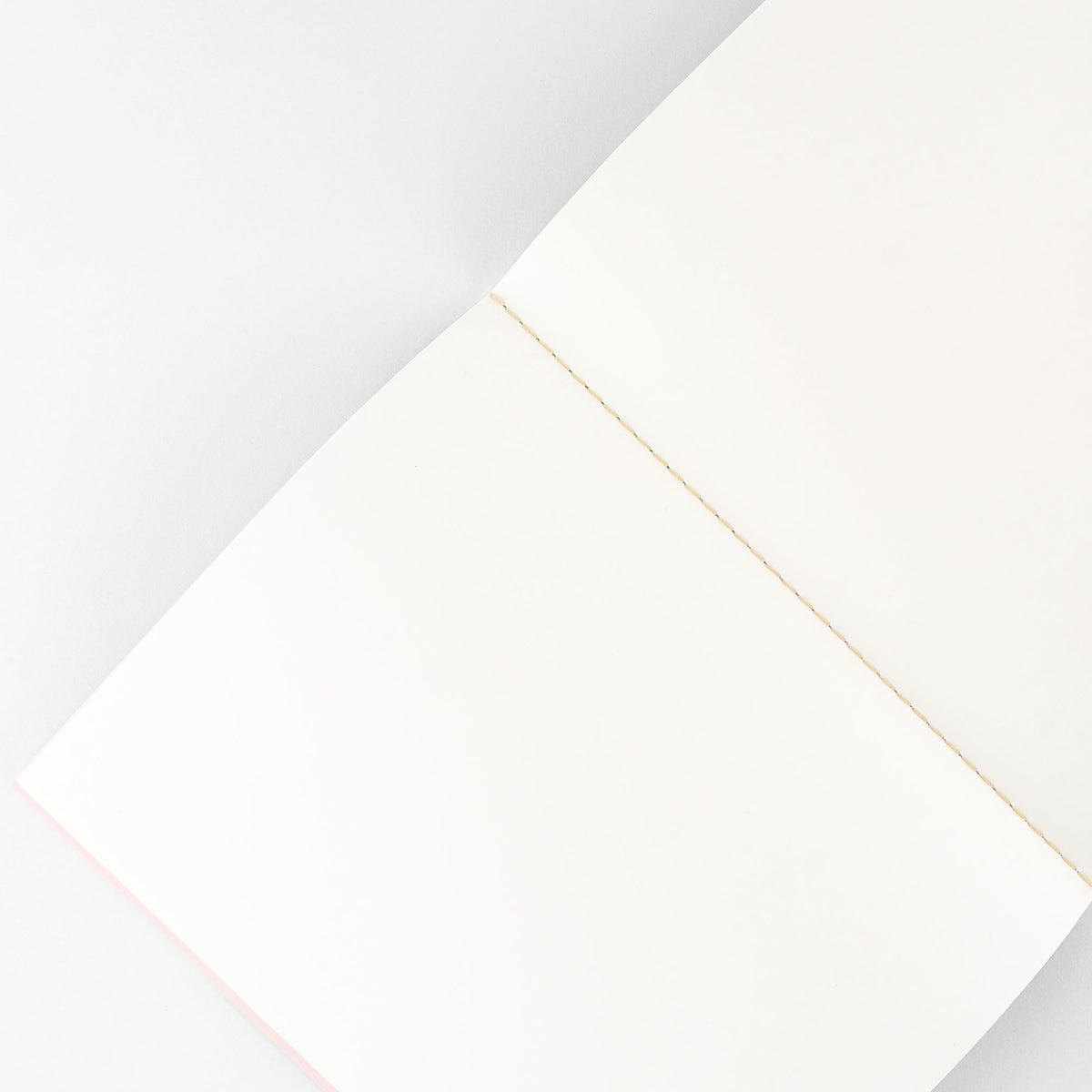 Wit & Delight Wit & Delight Classic Notebook Pink & Green 