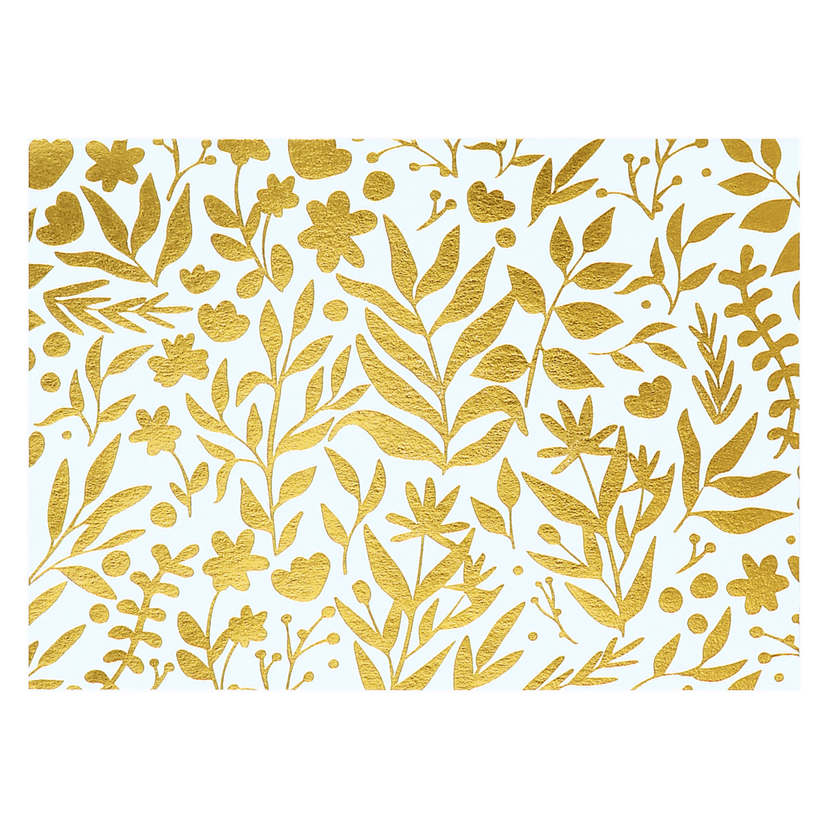 Elum Golden Citrus Field Folded Note Cards Boxed 