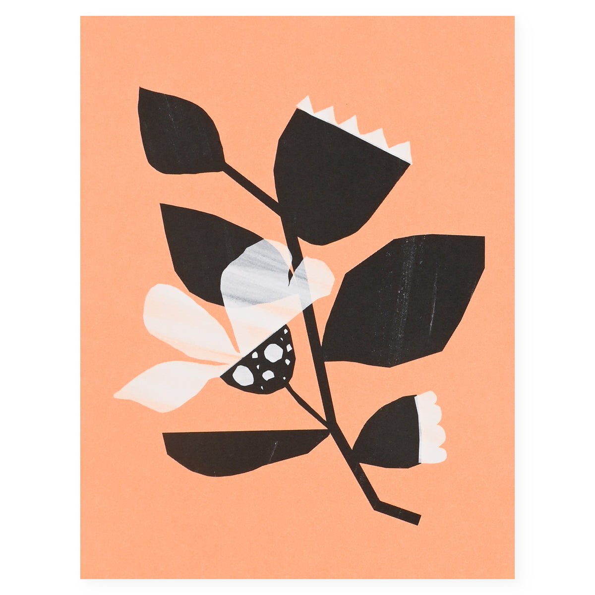 Emily Rae Carlson Big Leaves Greeting Card 
