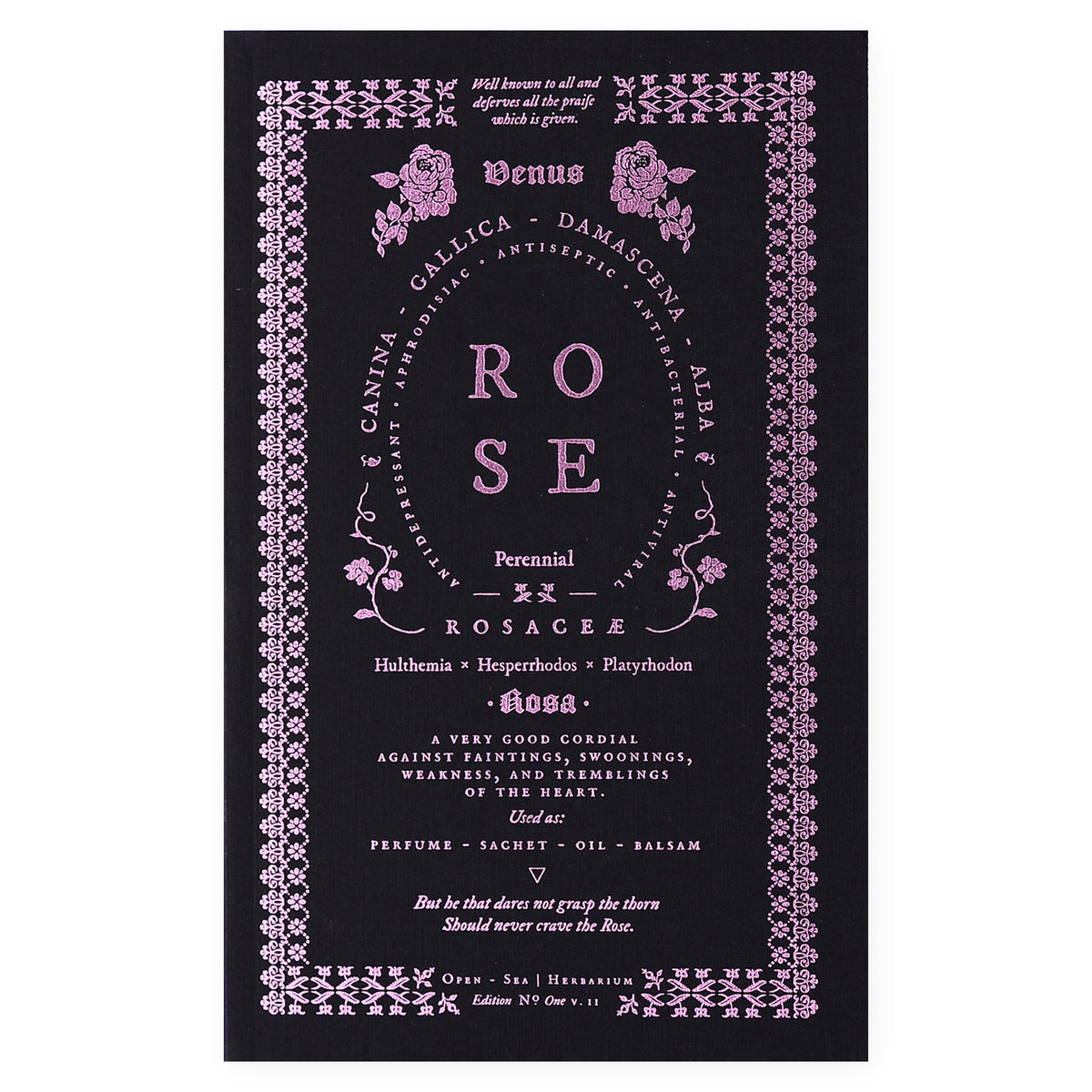 Open Sea Rose Notebook 