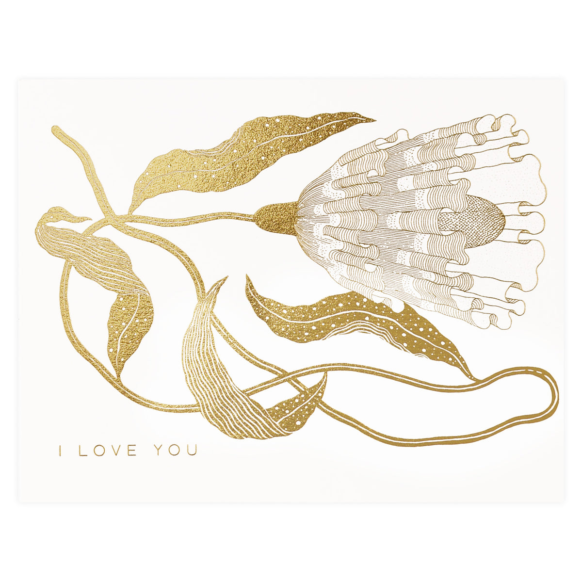 Red Cap Cards Exotic Flower Greeting Card 
