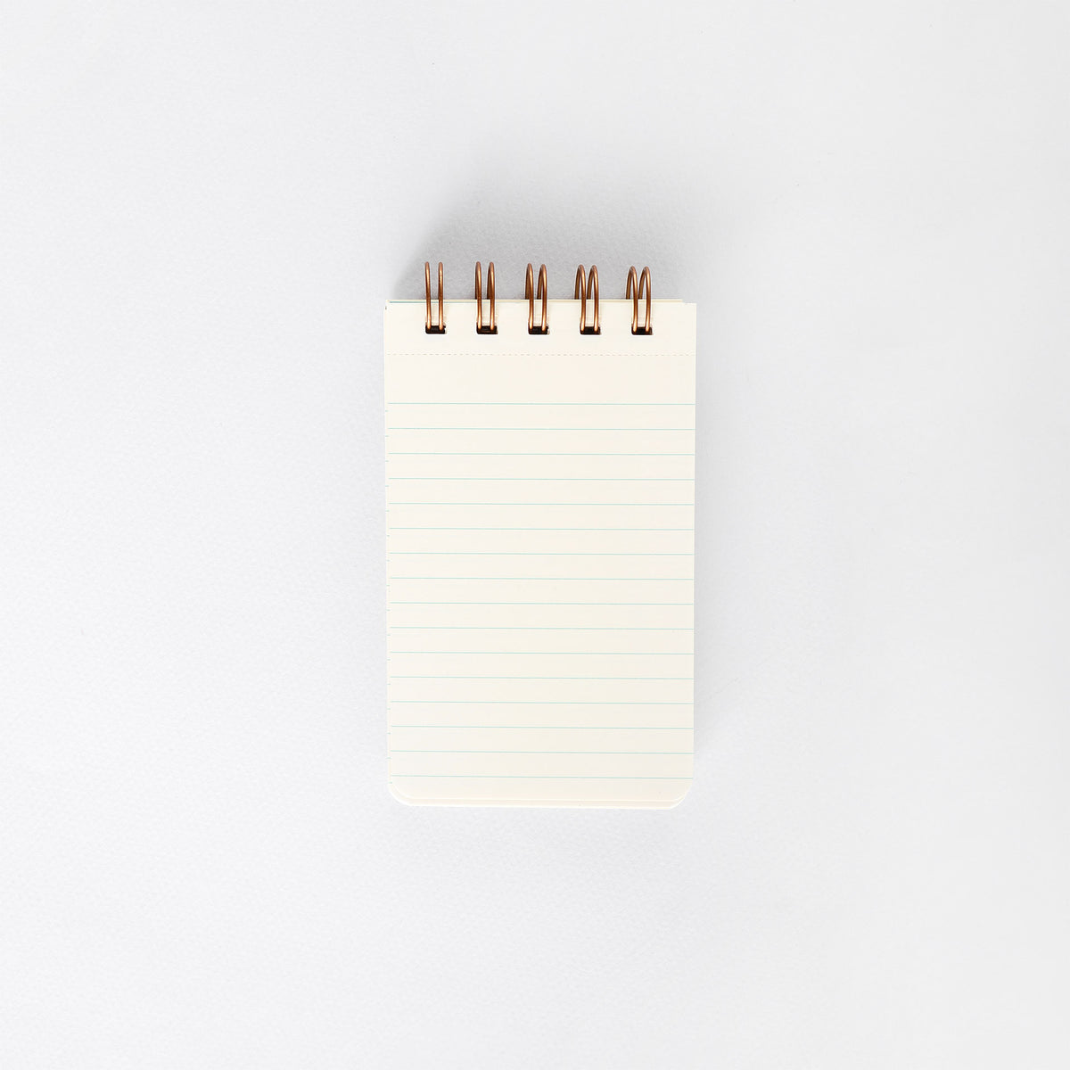 Shorthand Reporter Lined Notebook Pool 