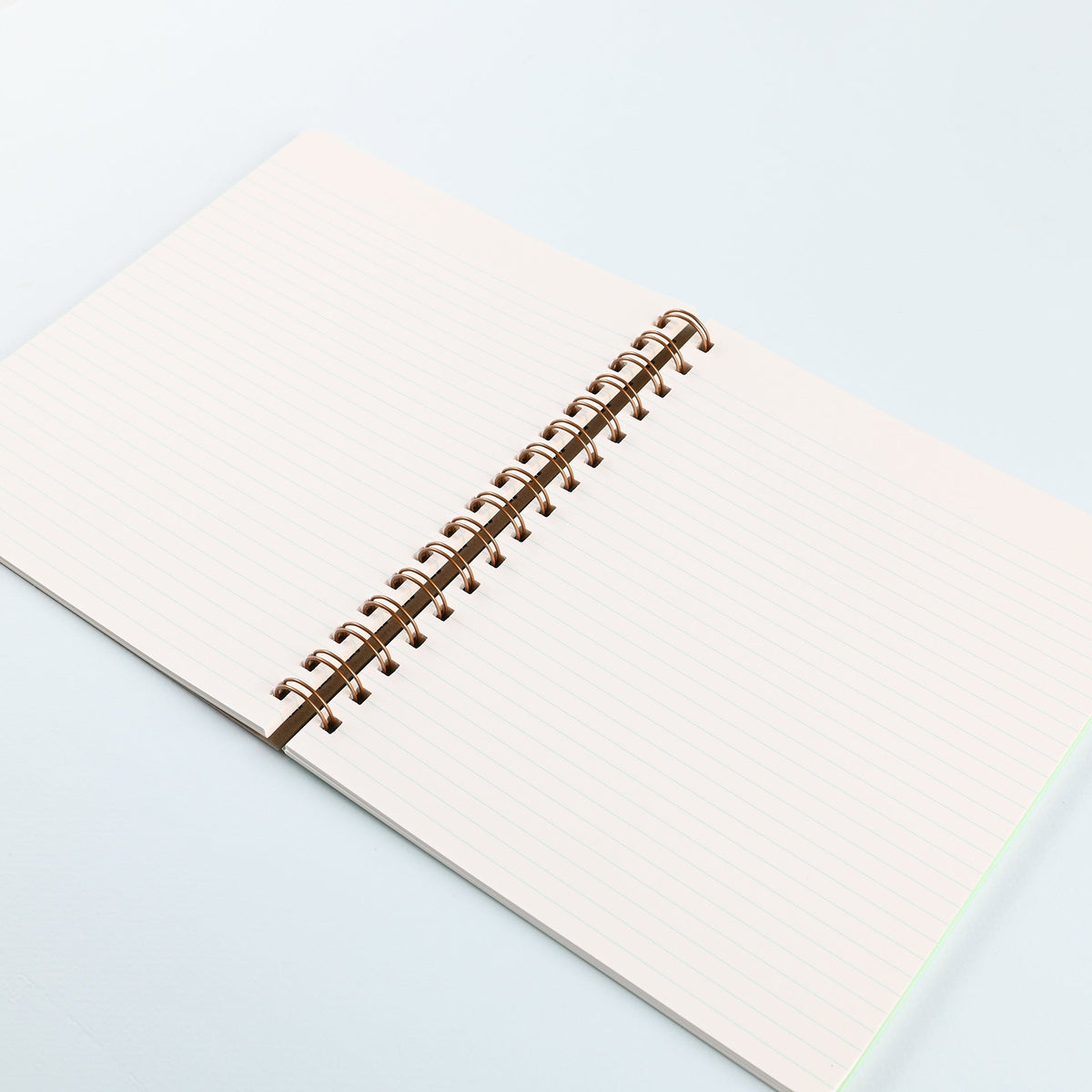 Shorthand The Standard Notebook Apple 